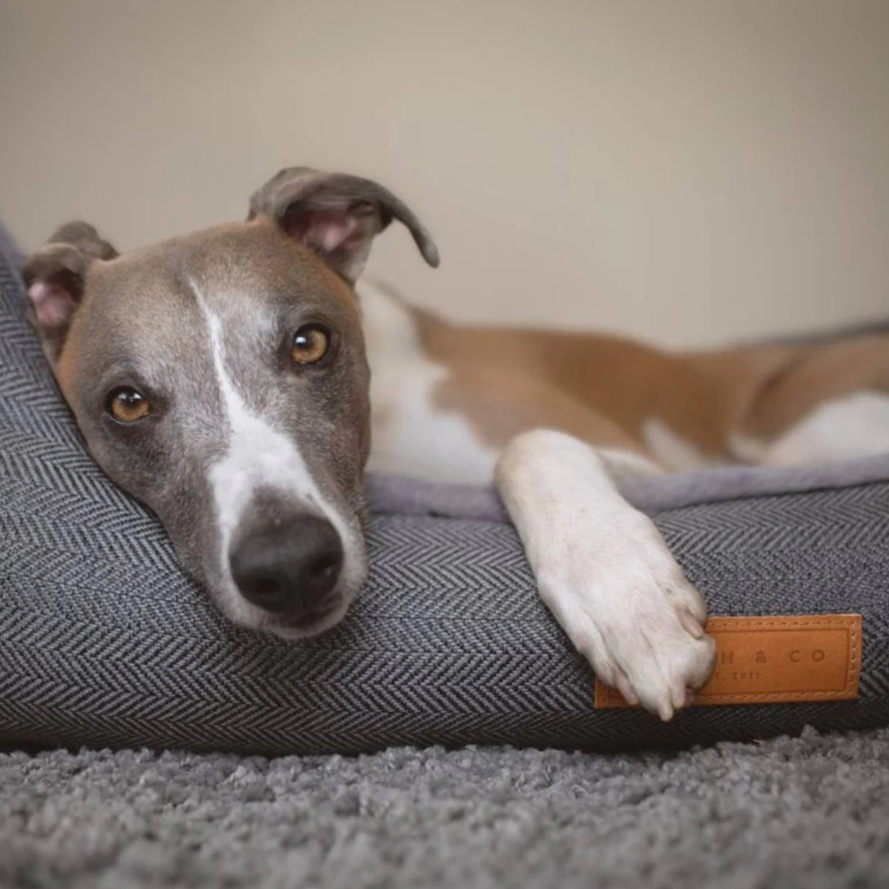 Balmoral Luxury Grey Herringbone Dog Bed
