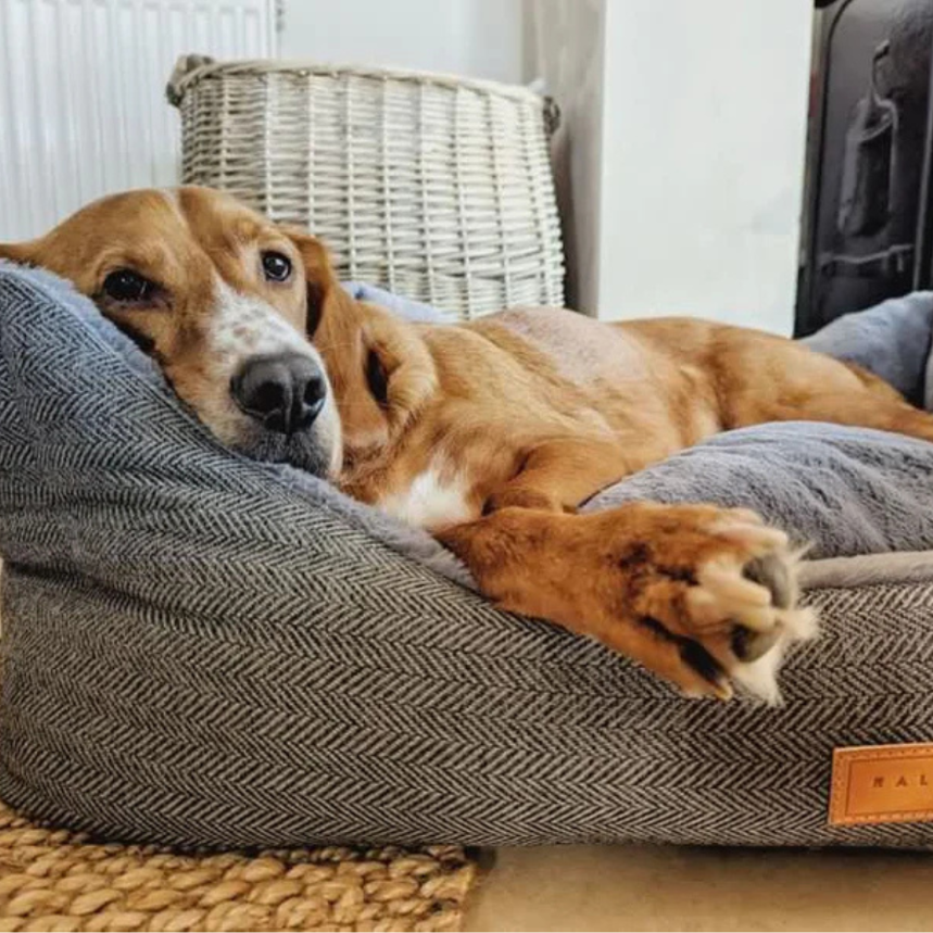 Balmoral Luxury Grey Herringbone Dog Bed