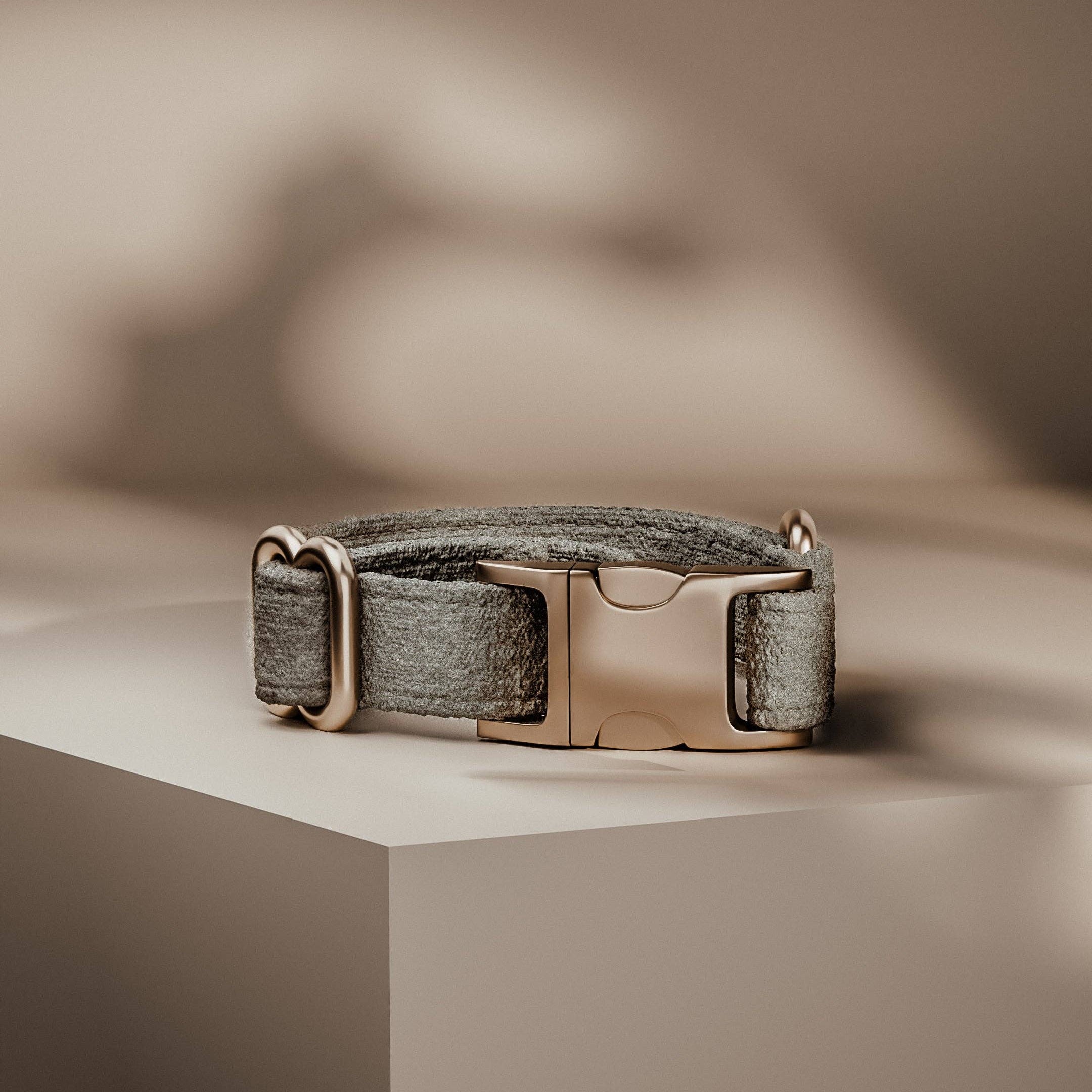 Dog collar with bronze buckle on a neutral background