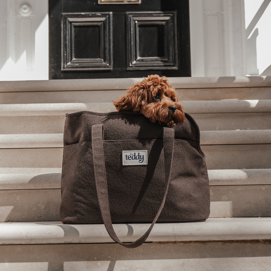 Dog peeking out from a brown bag with 'woody' branding on steps in front of a black door.