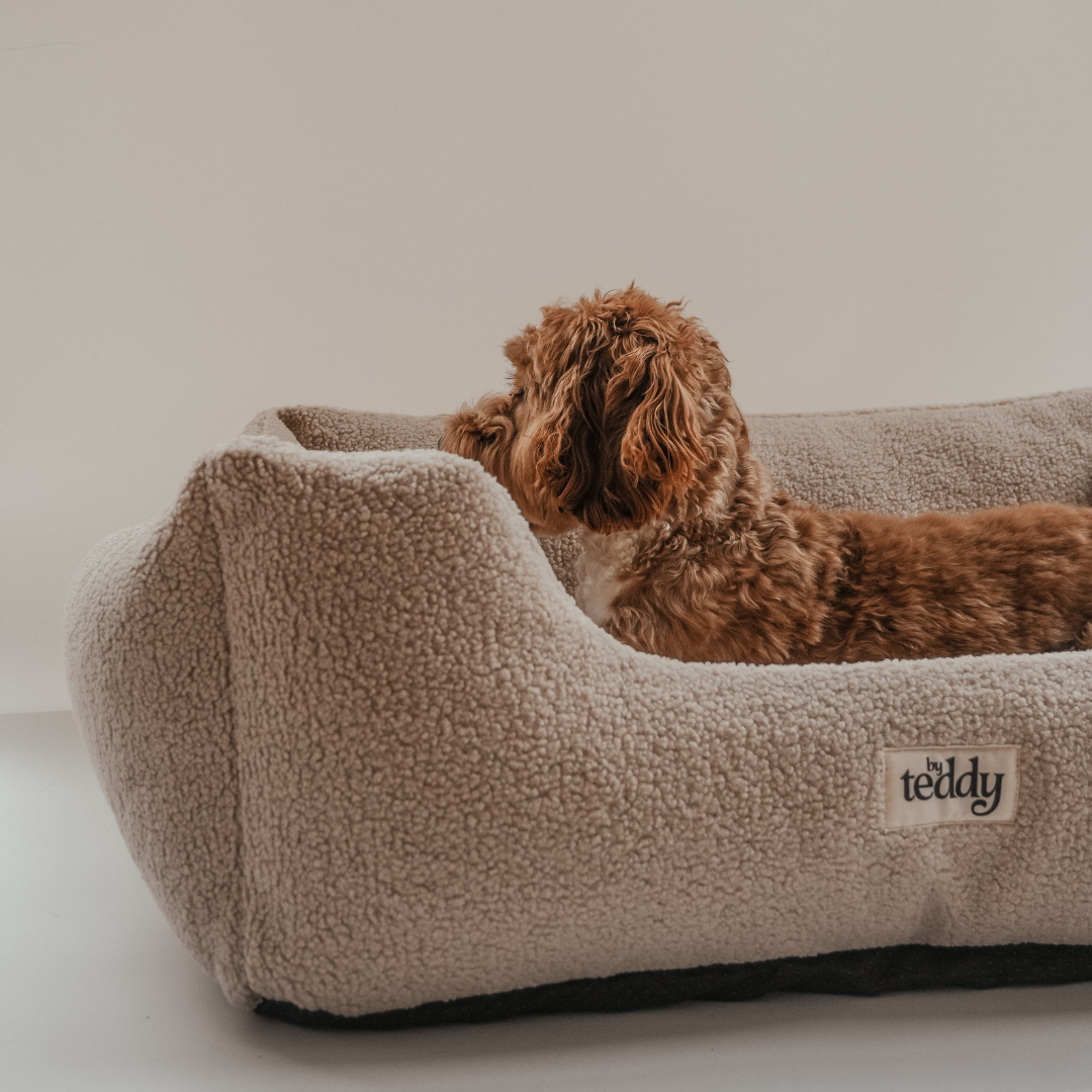 cosy dog beds 