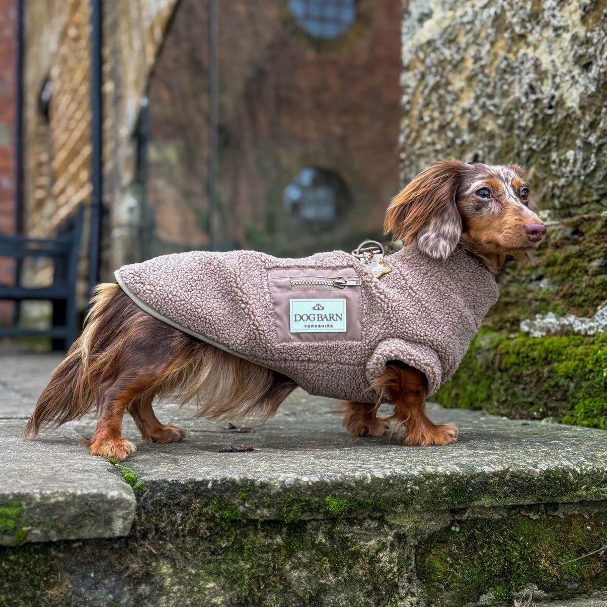 Dog wearing a pink fleece coat standing on stone steps with a rustic background