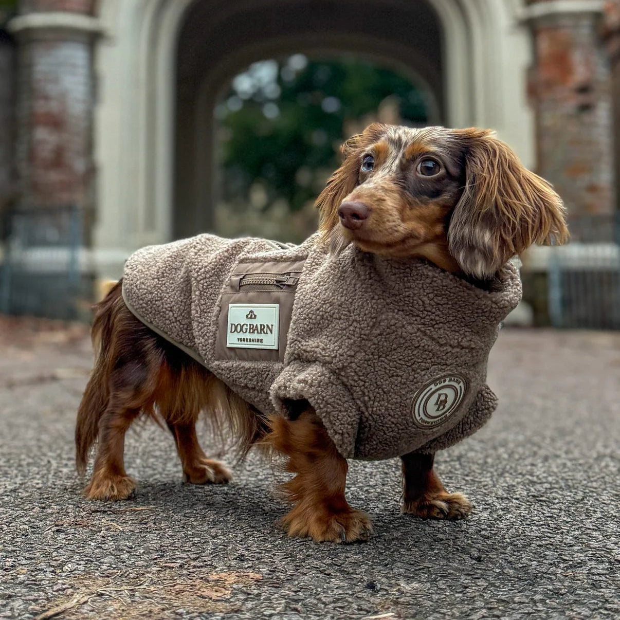 Dachshund wearing a brown fleece coat with a brand logo in front of an archway.