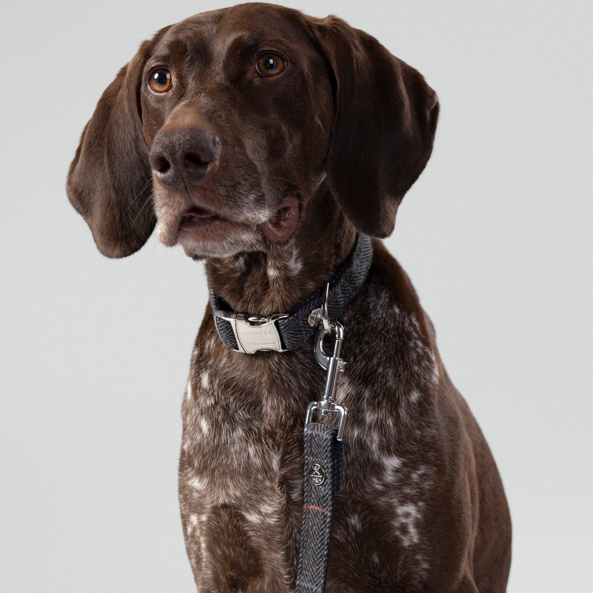 Grey checked herringbone tweed dog collar harness and lead matching accessory set