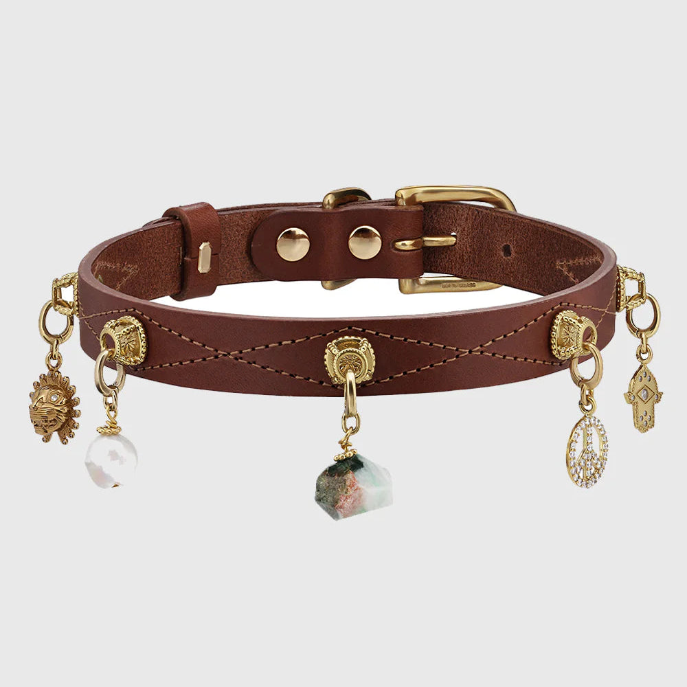 Brown leather dog collar with gold hardware and charms on a white background