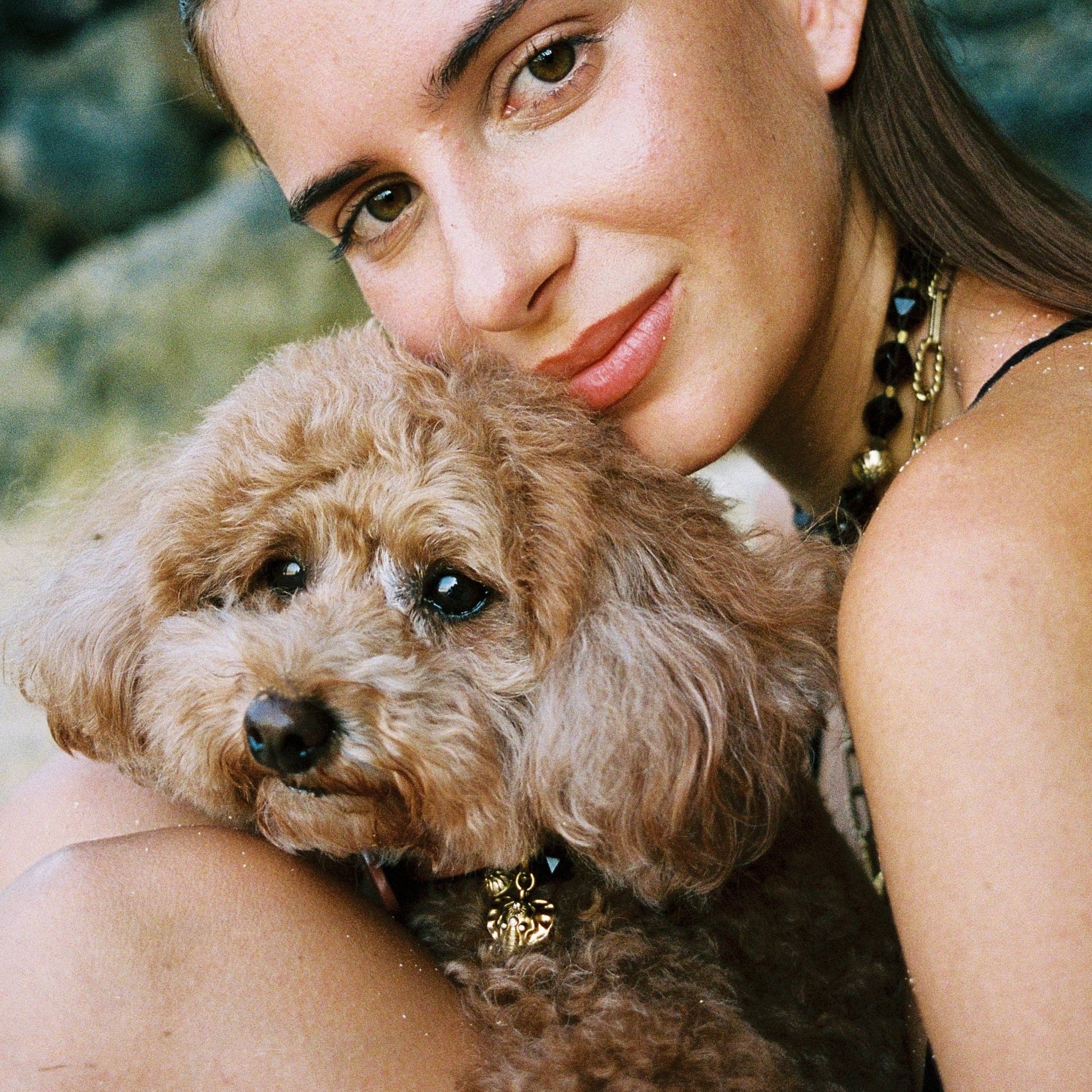 Luxury amber dog accessory for modern collars