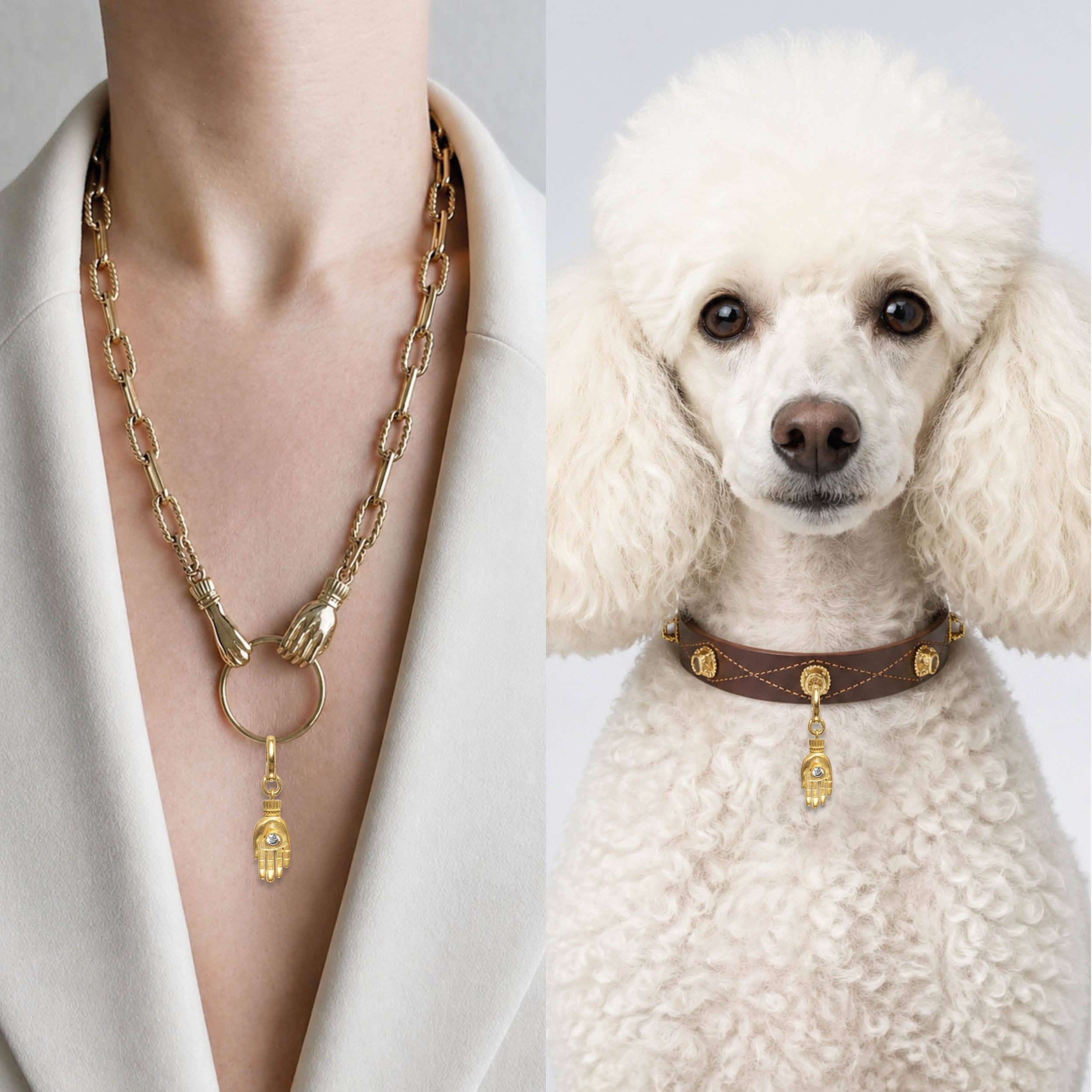 Gold necklace on a person and gold dog collar on a white dog against a gray background