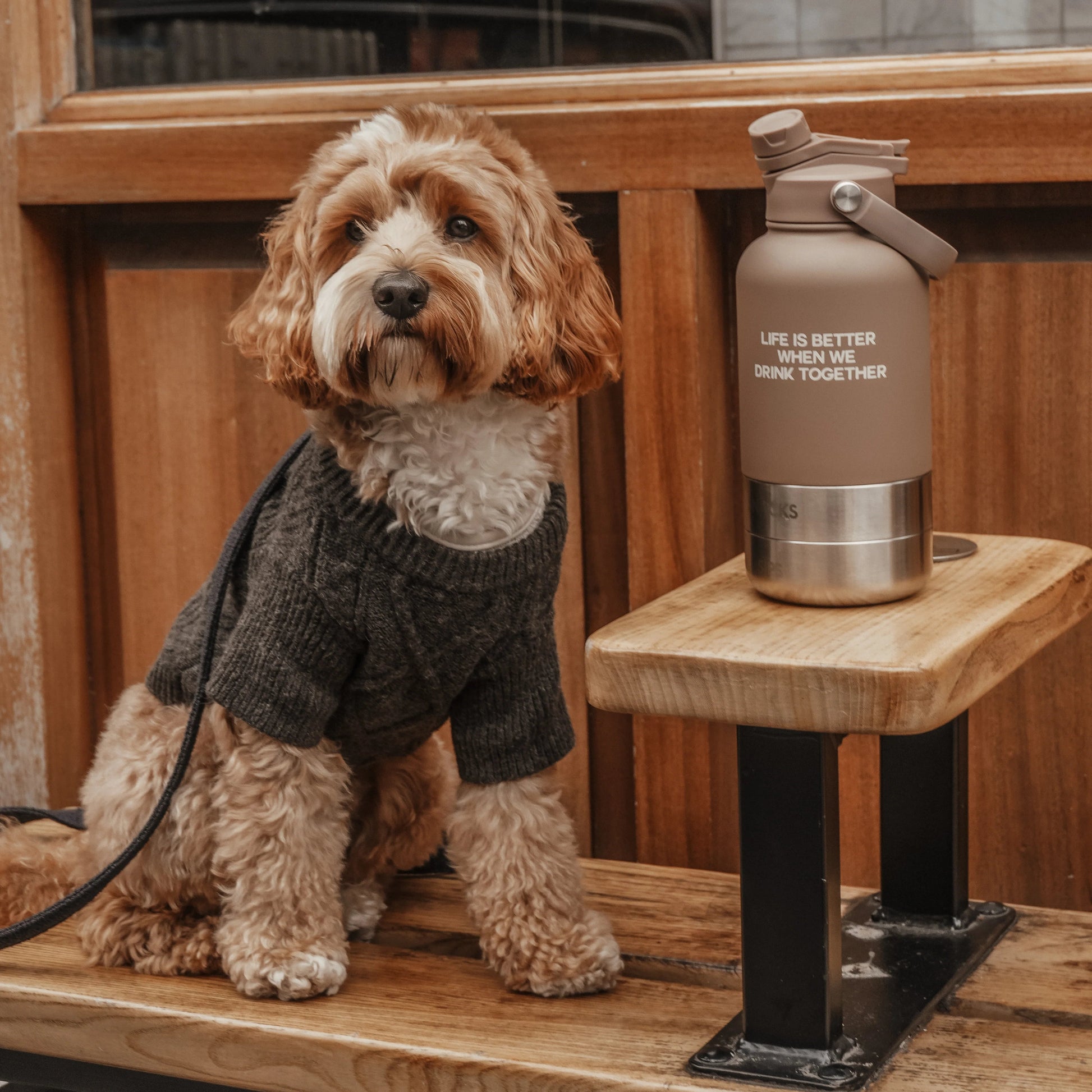 Dog sitting on a wooden bench next to a Klean Kanteen water bottle with text.